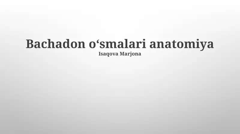 Bachadon oʻsmalari anatomiya