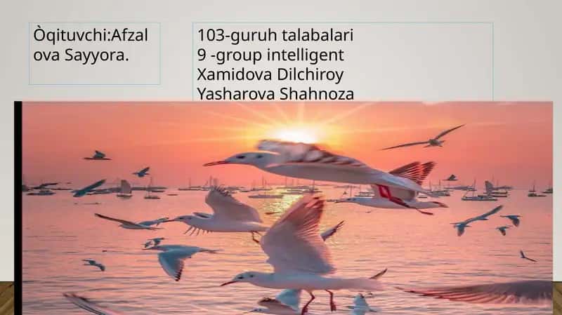Kòrish ORGANLARINING TUZILISHI