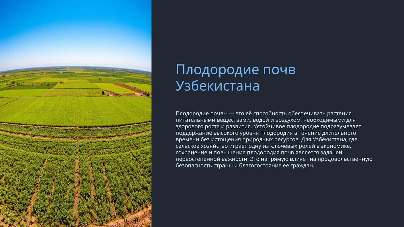 Плодородие почв Узбекистана
