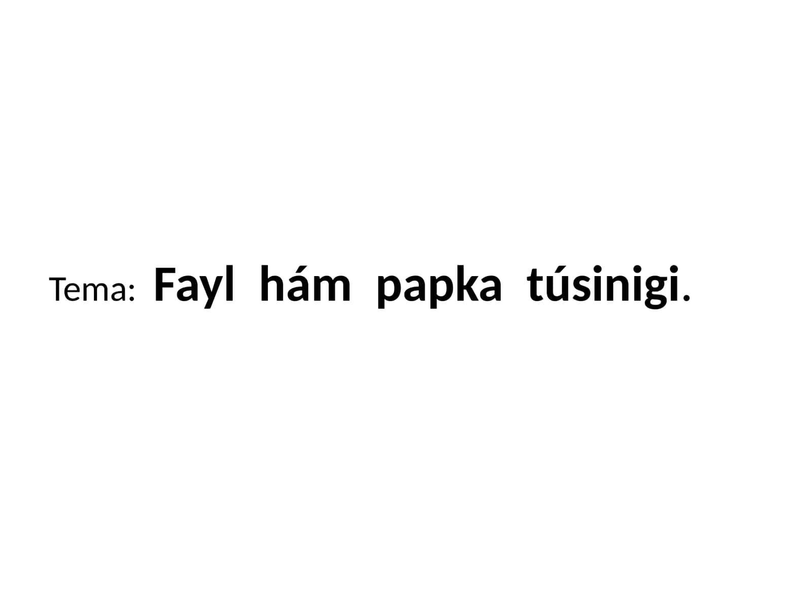 Fayl hám papka túsinigi