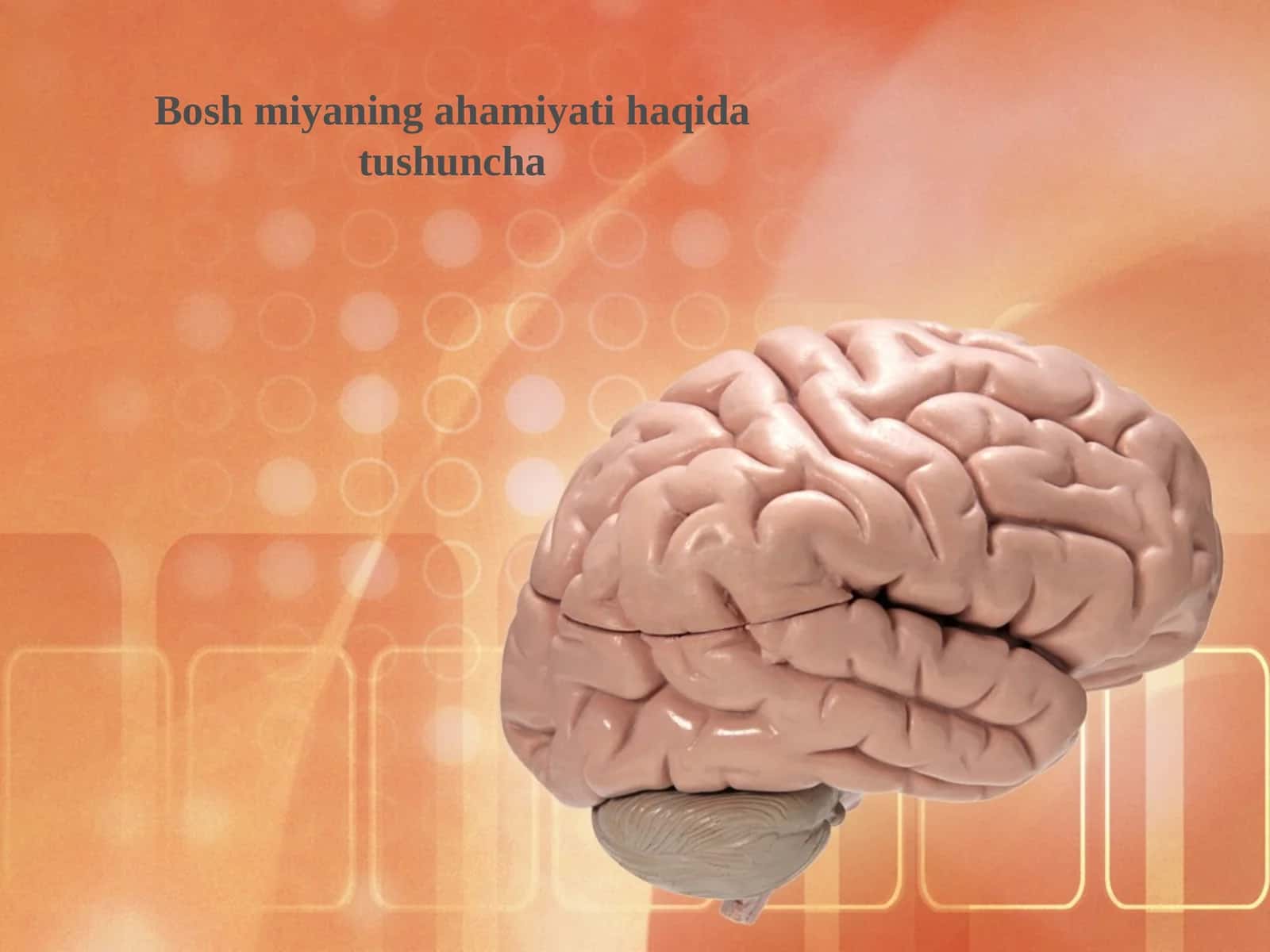 Boshmiyaning ahamiyati haqida tushuncha