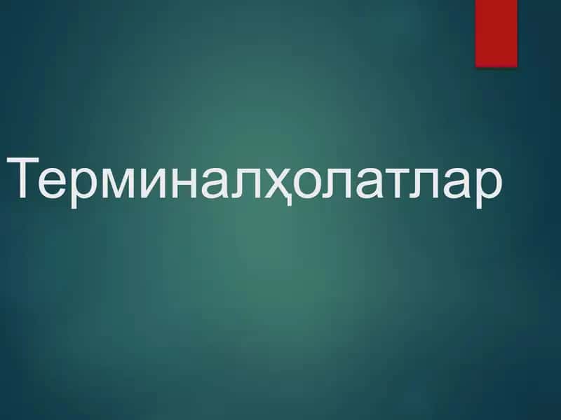 Терминалҳолатлар