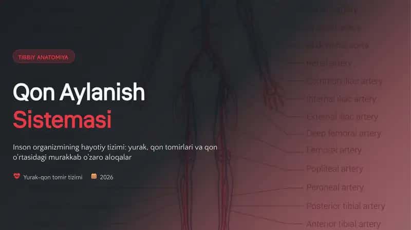 TIBBIY ANATOMIYA Qon Aylanish Sistemasi