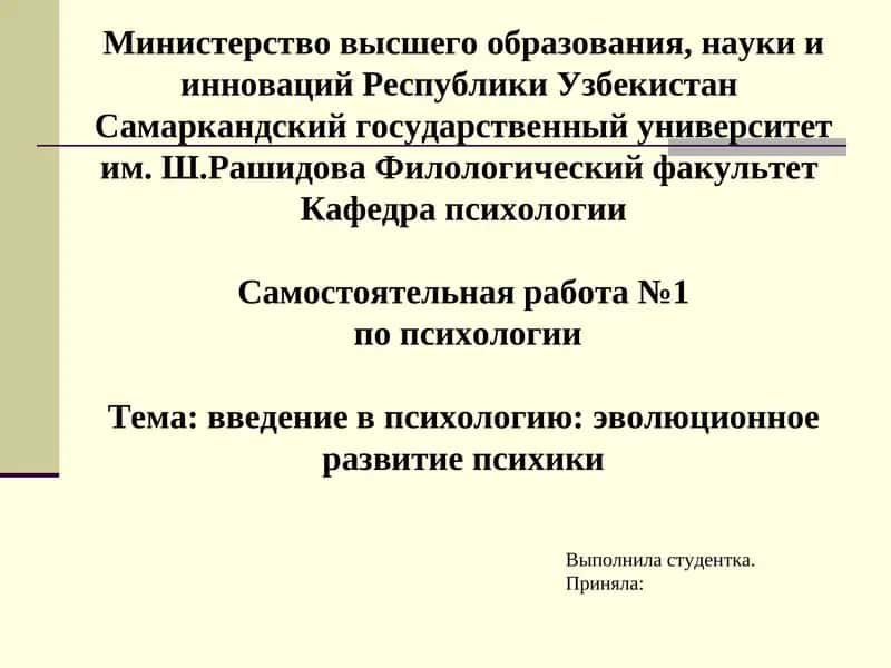 Самостоятельная работа №1 по психологии