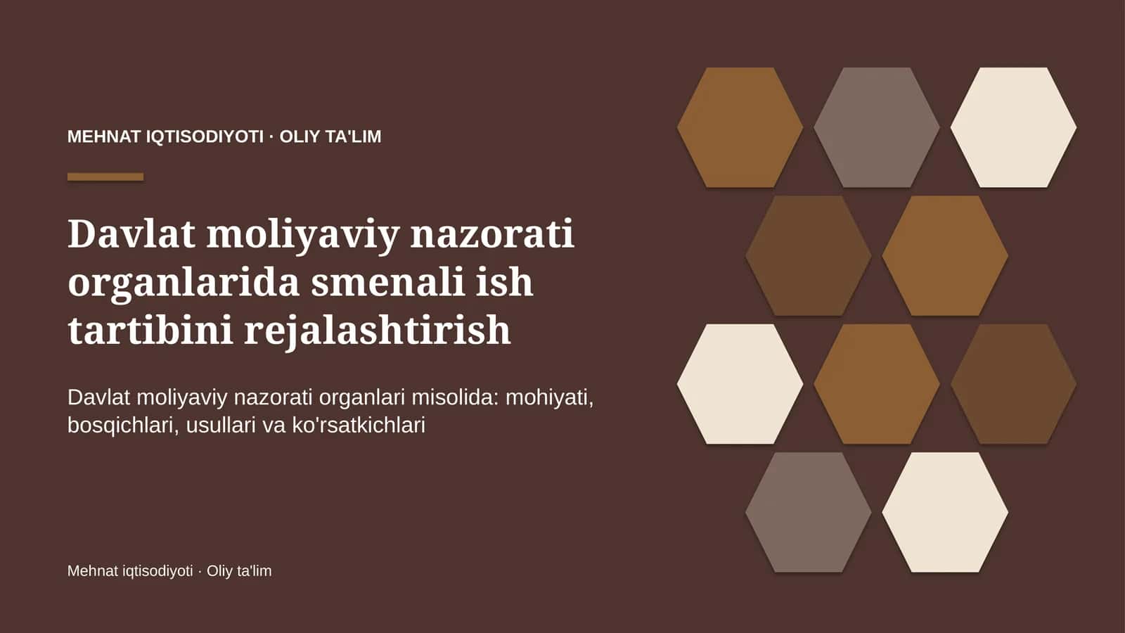 Davlat moliyaviy nazorati organlarida smenali ish tartibini rejalashtirish