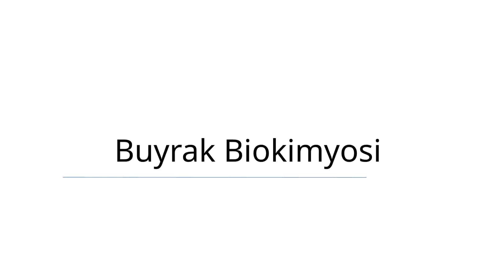 Buyrak Biokimyosi
