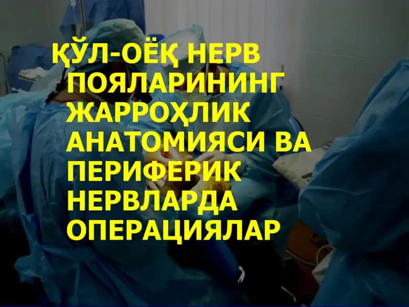 ҚЎЛ-ОЁҚНЕРВ ПОЯЛАРИНИНГ ЖАРРОҲЛИК АНАТОМИЯСИ ВА ПЕРИФЕРИК НЕРВЛАРДА ОПЕРАЦИЯЛАР