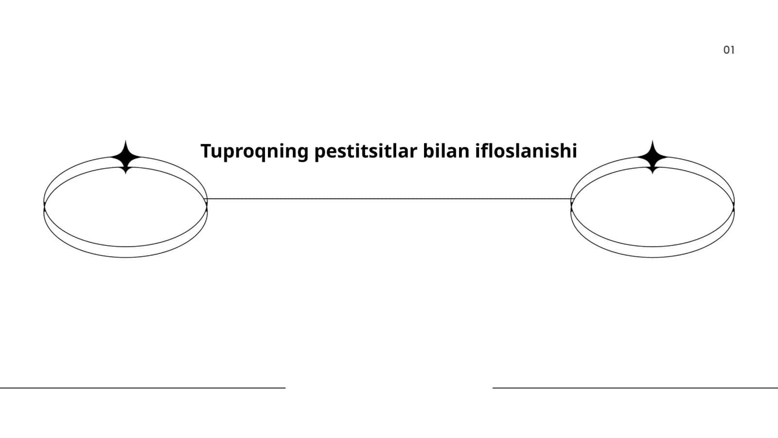 Tuproqning pestitsitlar bilan ifloslanishi