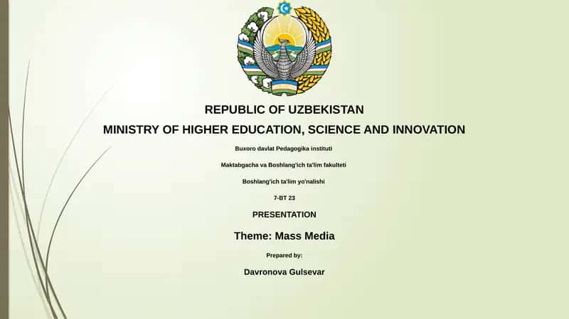 Mass Media Presentation