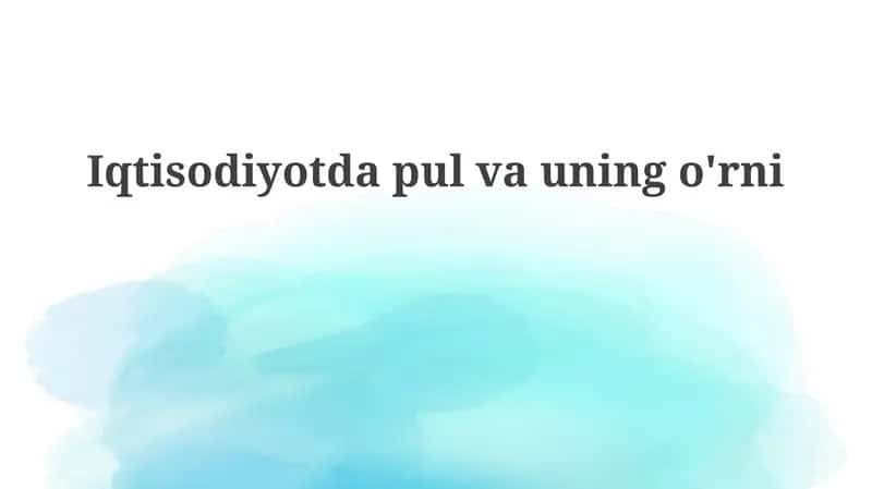 Pulning mohiyati va funksiyalari