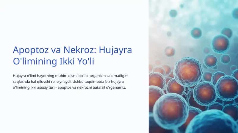 Apoptoz va Nekroz: Hujayra O'limining Ikki Yo'li