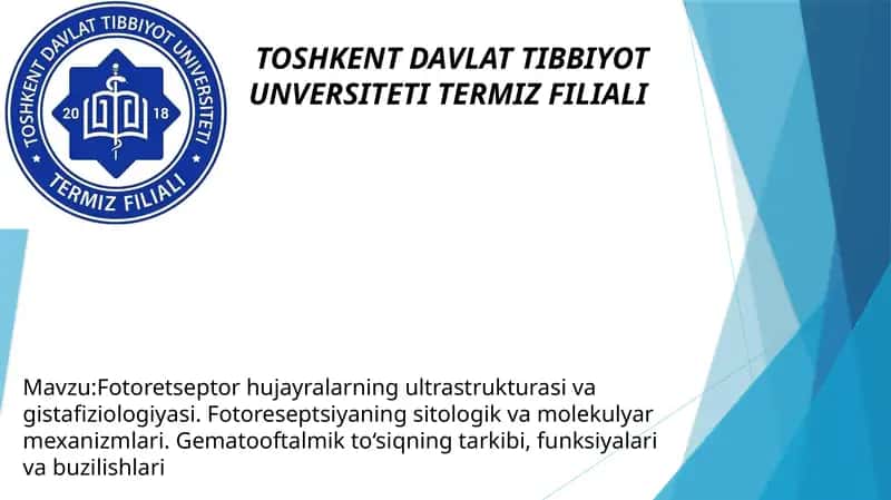 Fotoretseptor hujayralarning ultrastrukturasi va gistafiziologiyasi. Fotoreseptsiyaning sitologik va molekulyar mexanizmlari. Gematooftalmik to‘siqning tarkibi, funksiyalari va buzilishlari