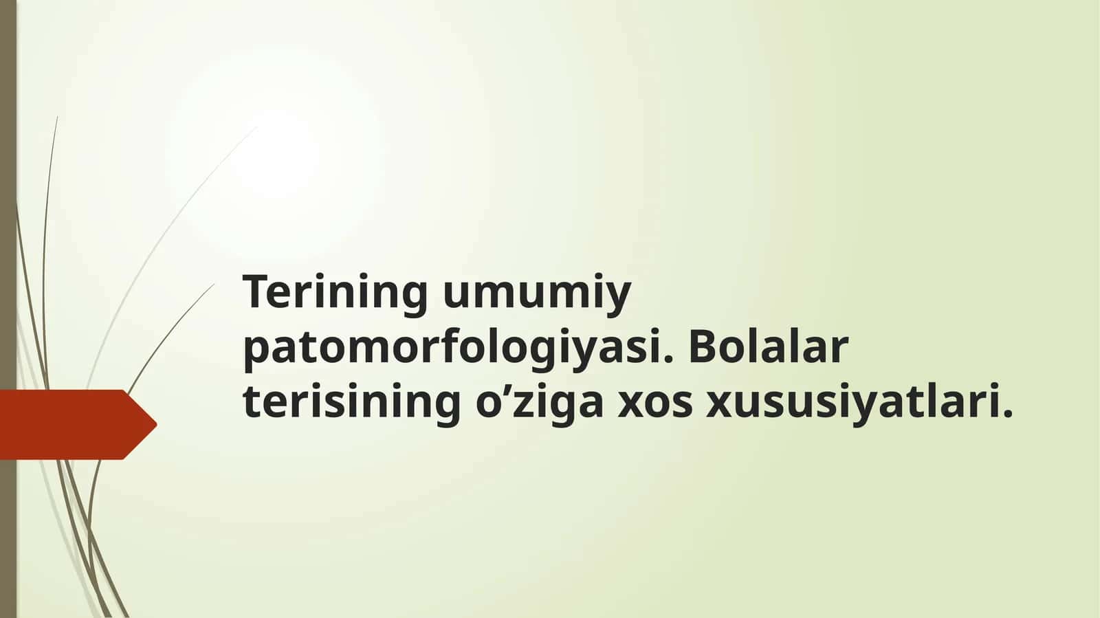 Terining umumiy patomorfologiyasi. Bolalar terisining o‘ziga xos xususiyatlari