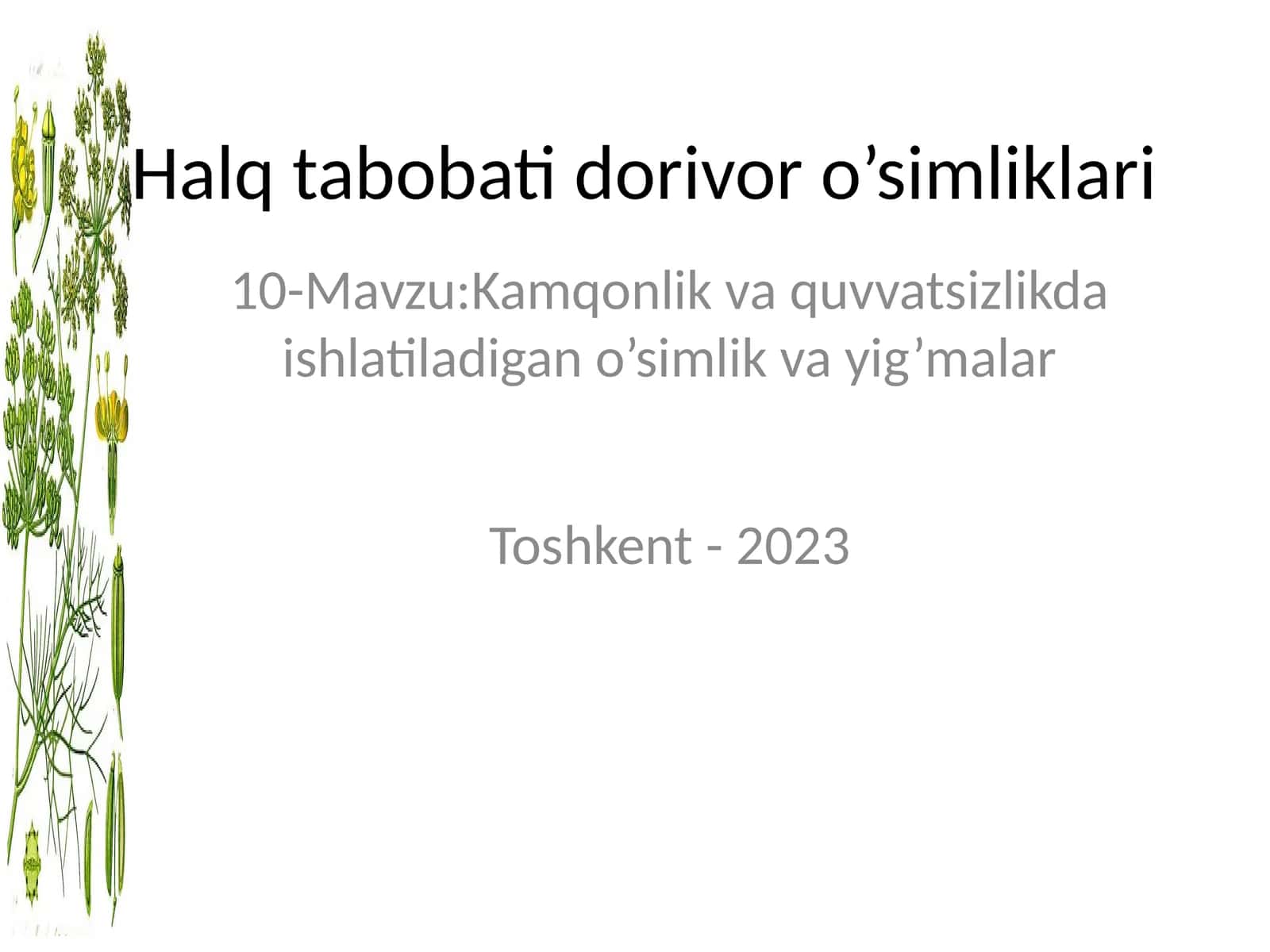 Halq tabobati dorivor o’simliklari