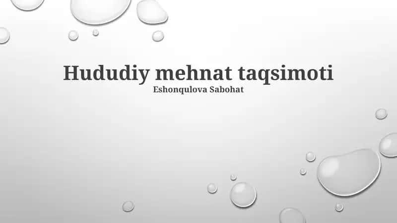 Hududiy mehnat taqsimoti