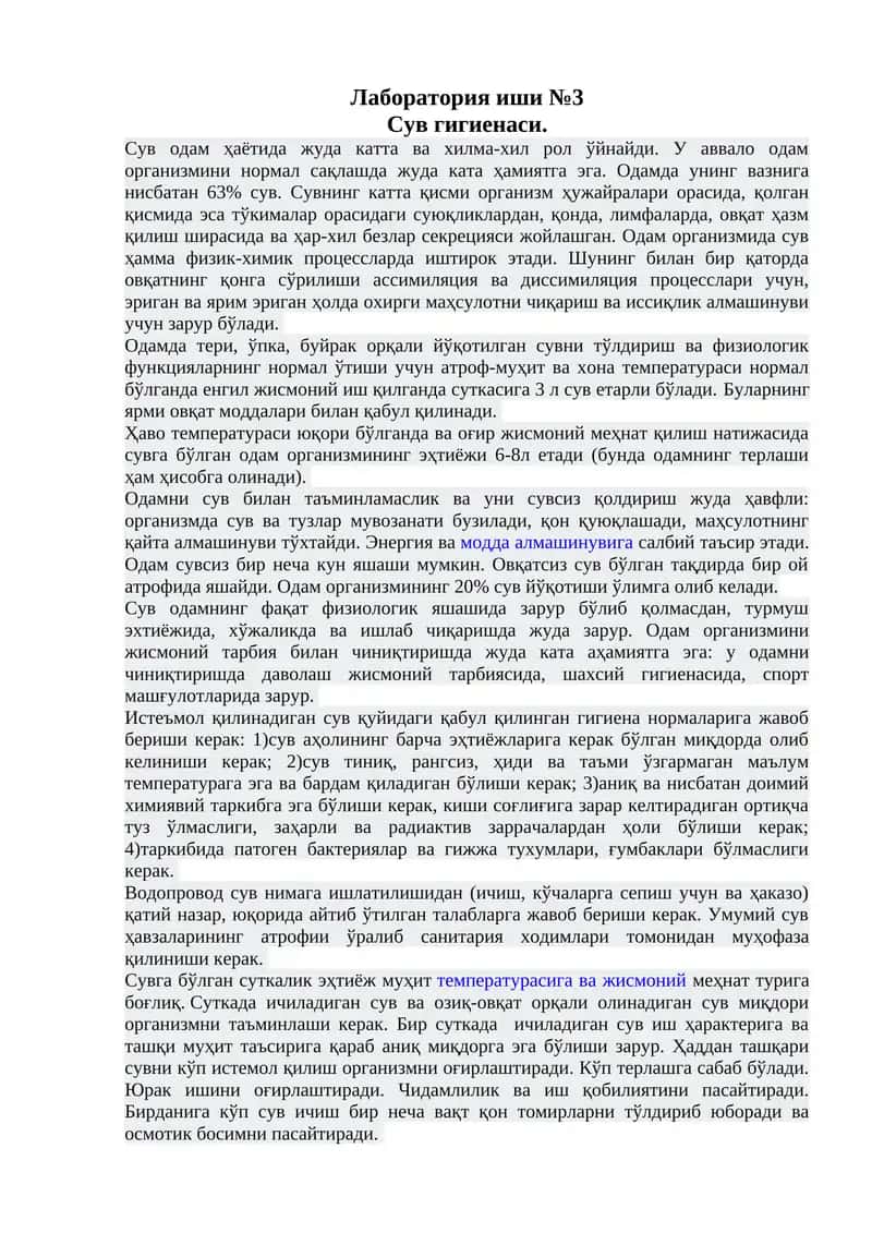 Лаборатория иши №3