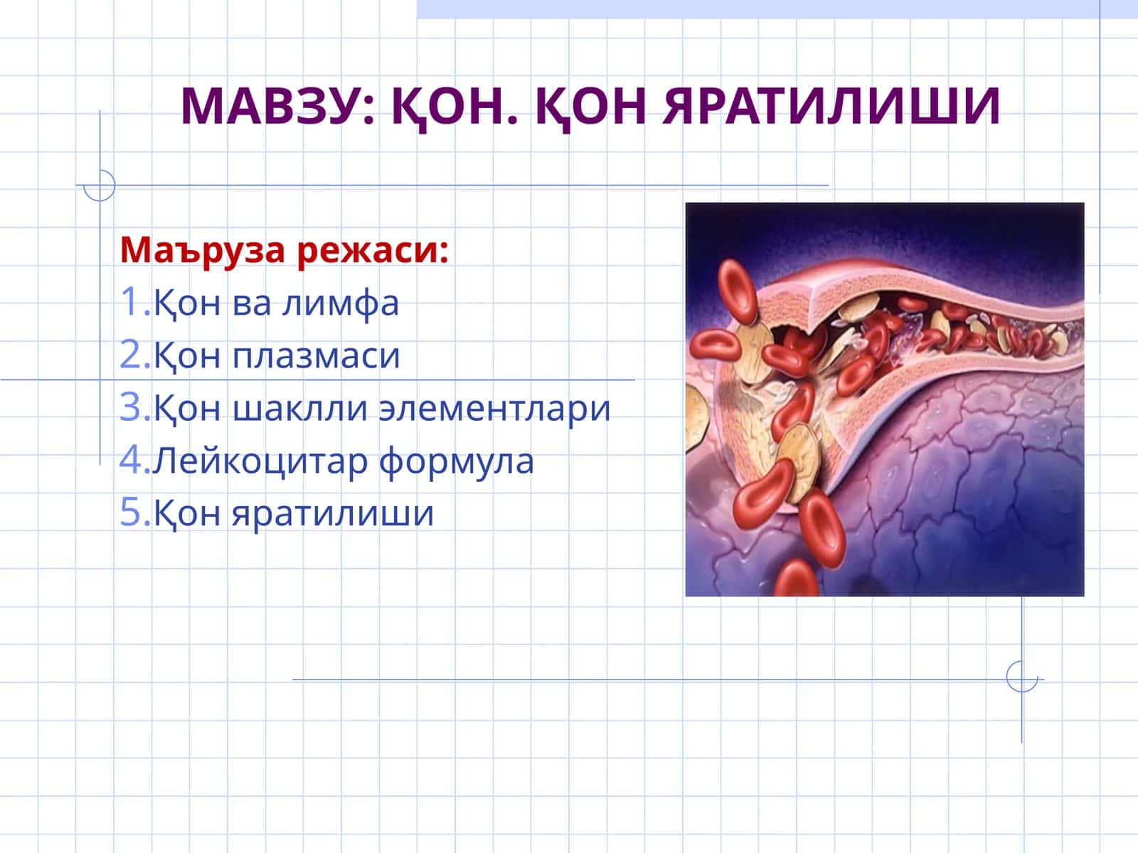 Қон. Қон яратилиши