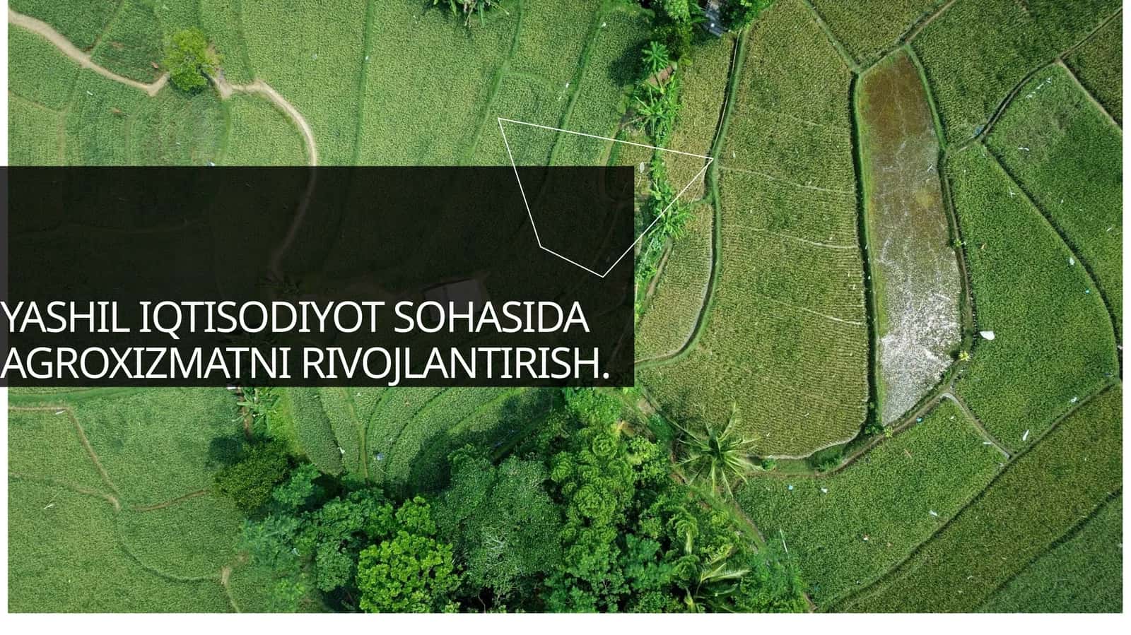YASHIL IQTISODIYOT SOHASIDA AGROXIZMATNI RIVOJLANTIRISH