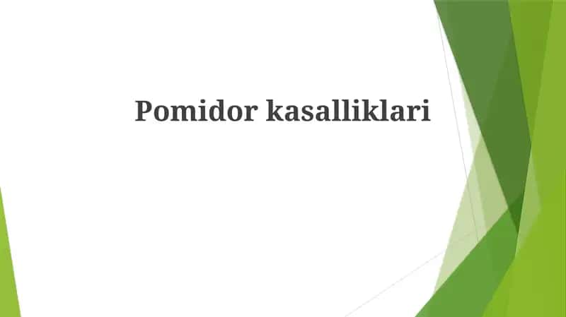 Pomidorkasalliklari