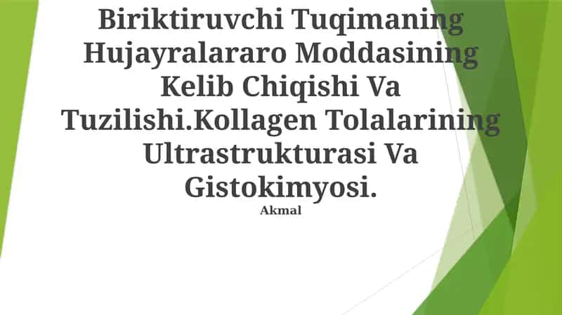Biriktiruvchi Tuqimaning Hujayralararo Moddasining Kelib Chiqishi Va Tuzilishi