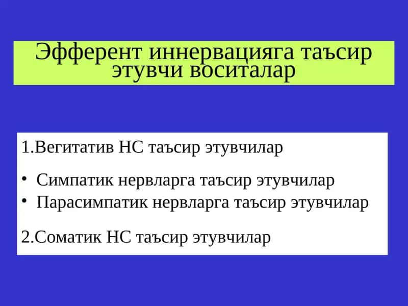 Эфферент иннервацияга таъсирэтувчи воситалар