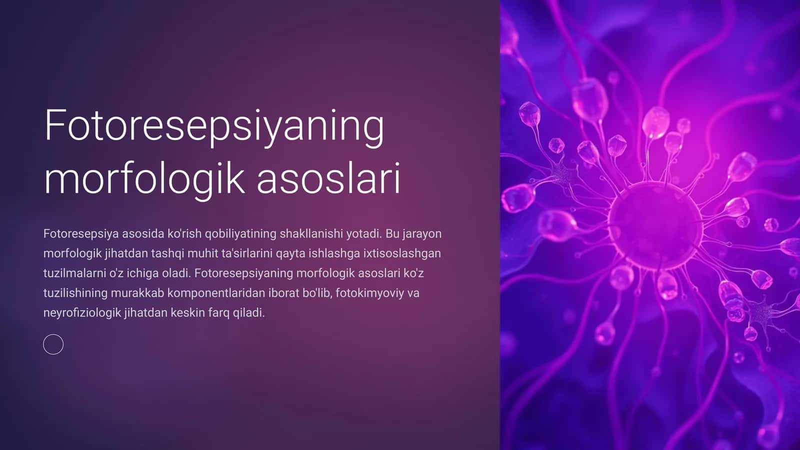 Fotoresepsiyaning morfologik asoslari