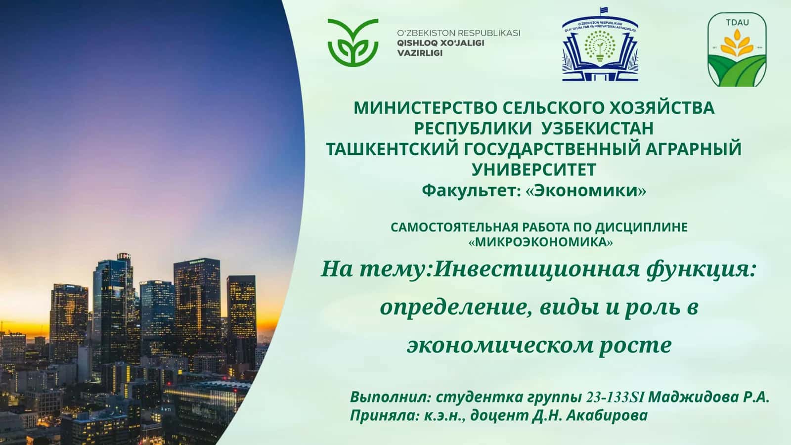 Инвестиционная функция: определение, виды и роль в экономическом росте