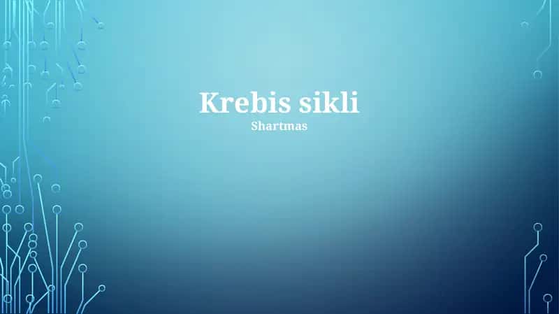 Krebs sikli