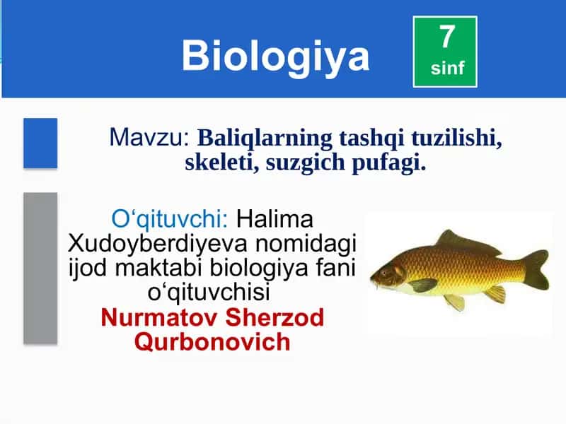 Baliqlarning tashqi tuzilishi, skeleti, suzgich pufagi