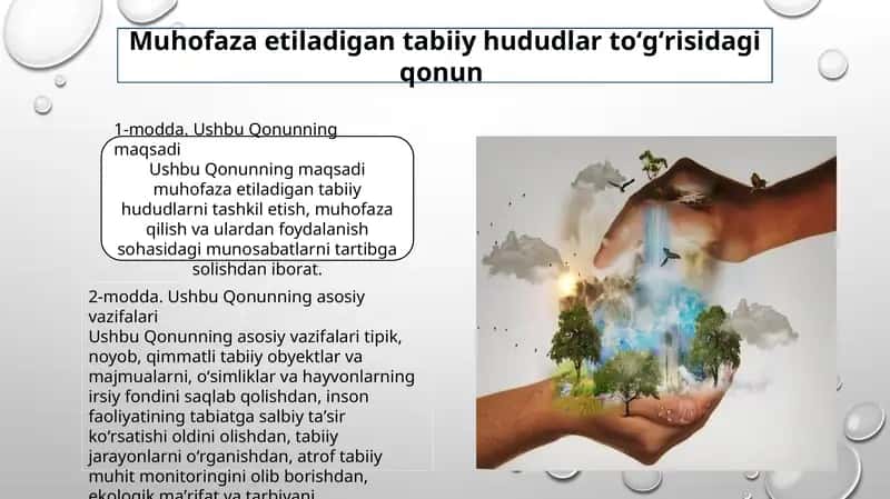 Muhofaza etiladigan tabiiy hududlar to'g'risida qonun