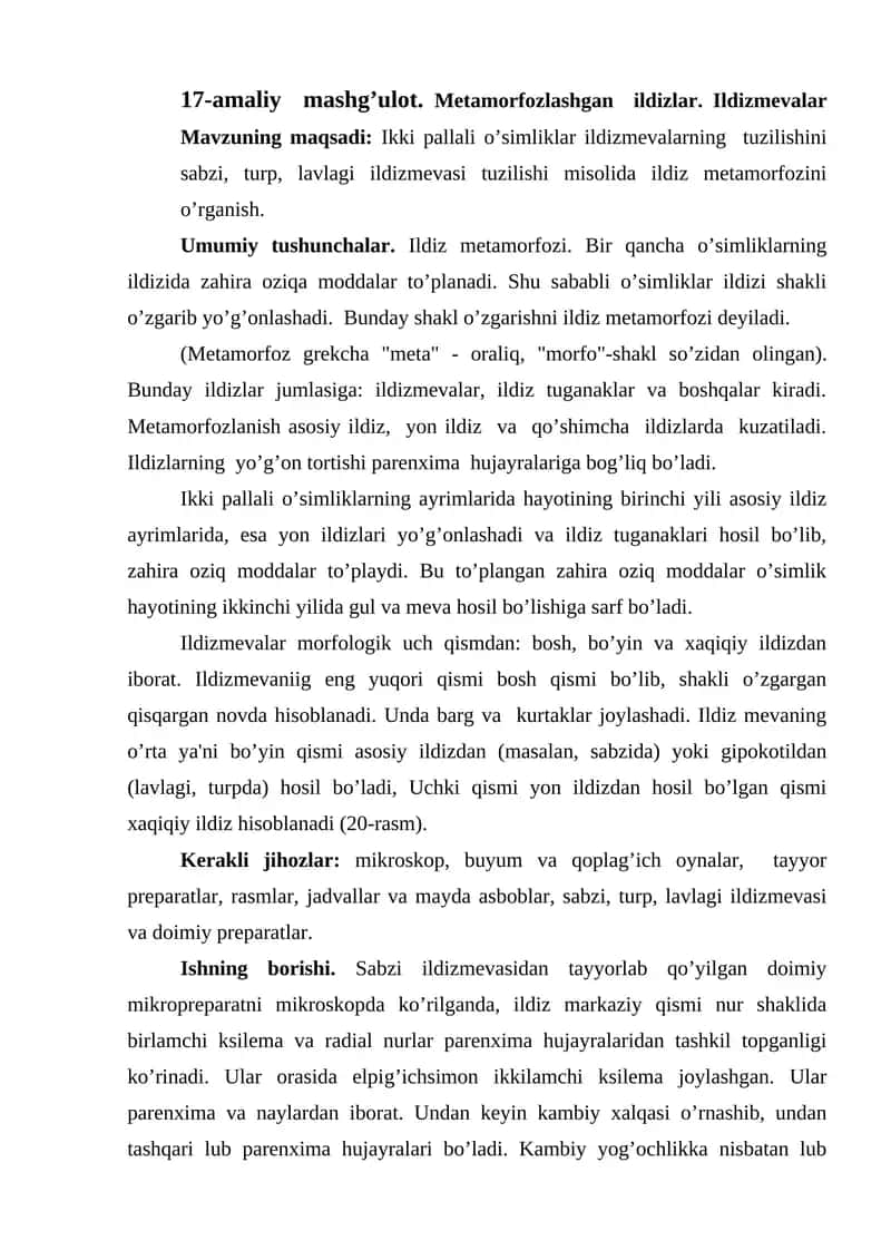 Ildiz metamorfozi