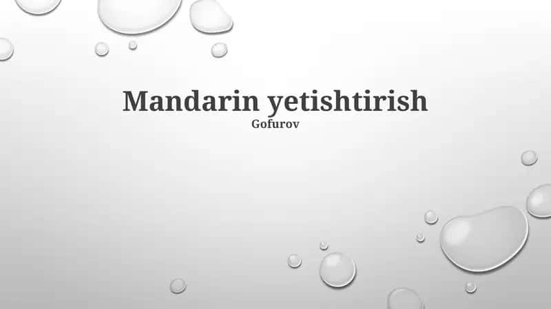 Mandarin yetishtirish