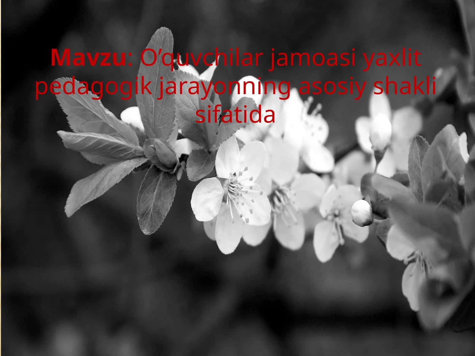 O’quvchilar jamoasi yaxlit pedagogik jarayonning asosiy shakli sifatida