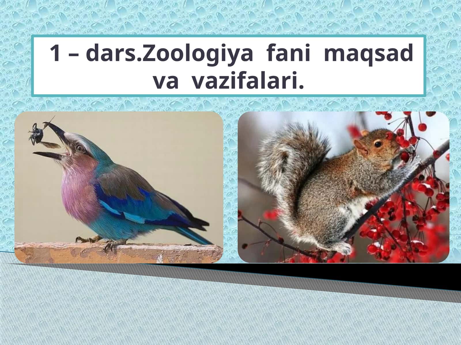 Zoologiya fanimaqsadvavazifalari