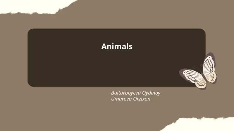 Animals