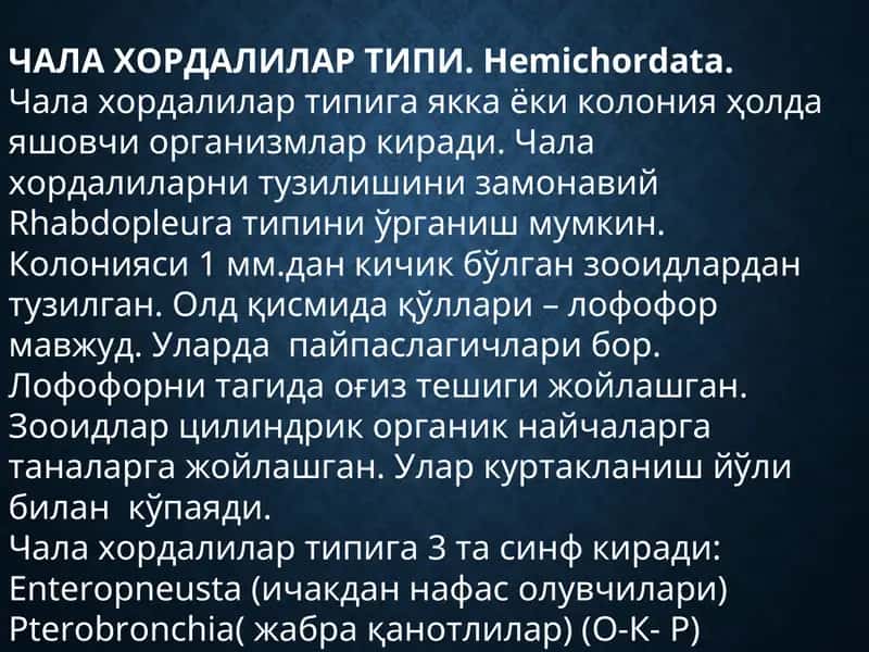 ЧАЛА ХОРДАЛИЛАР ТИПИ.Hemichordata
