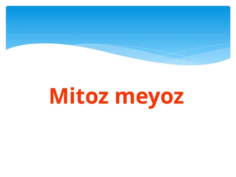 Mitoz meyoz