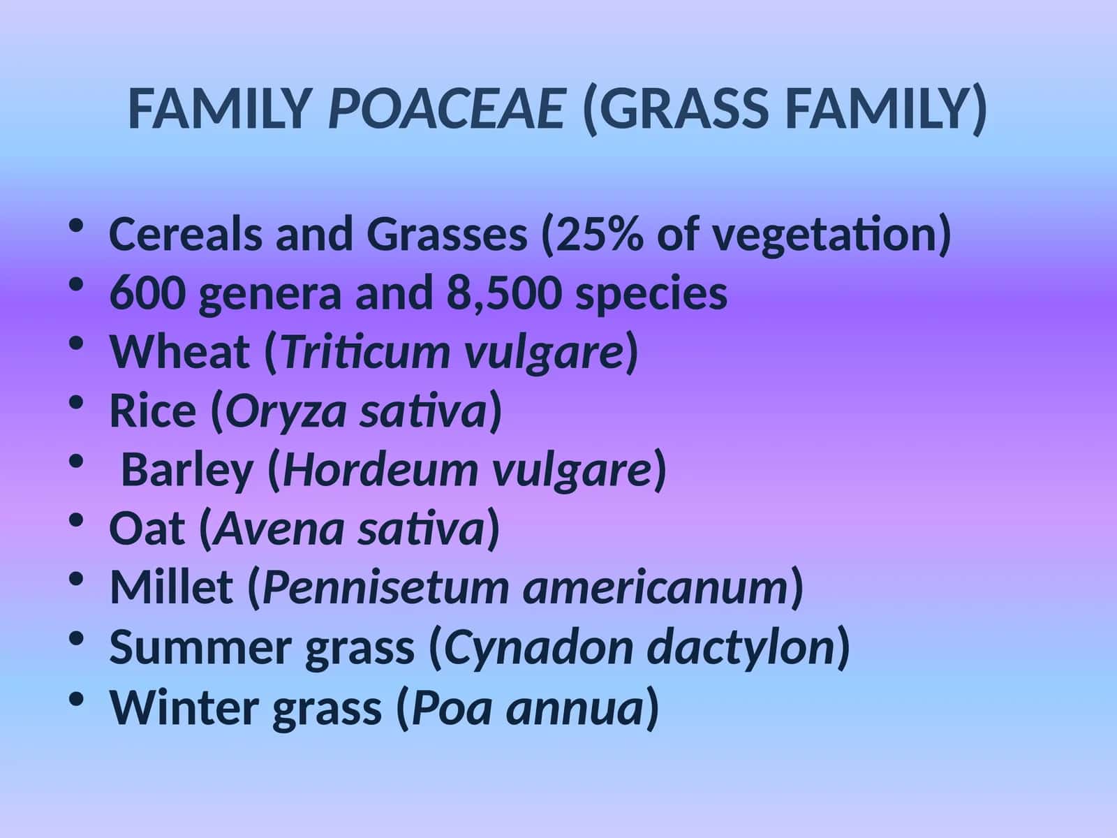 Cereals and Grasses
