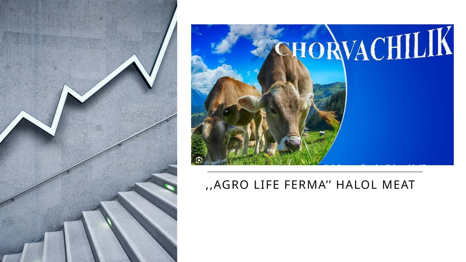 agro life ferma’’ Halol meat