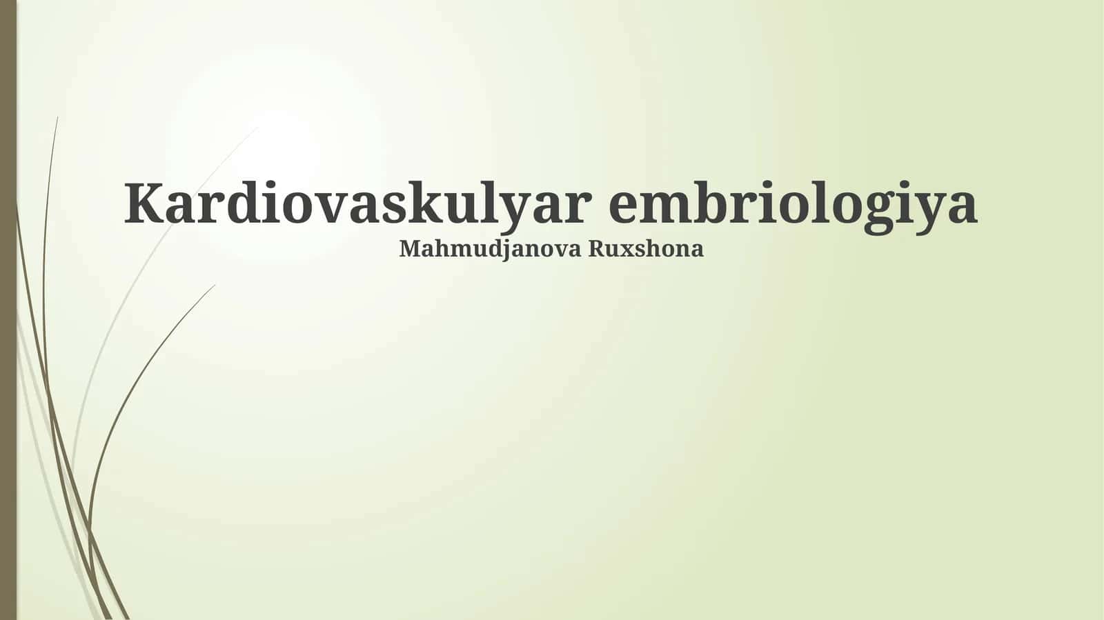 Kardiovaskulyar embriologiya