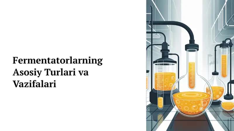Fermentatorlarning Asosiy Turlari va Vazifalari
