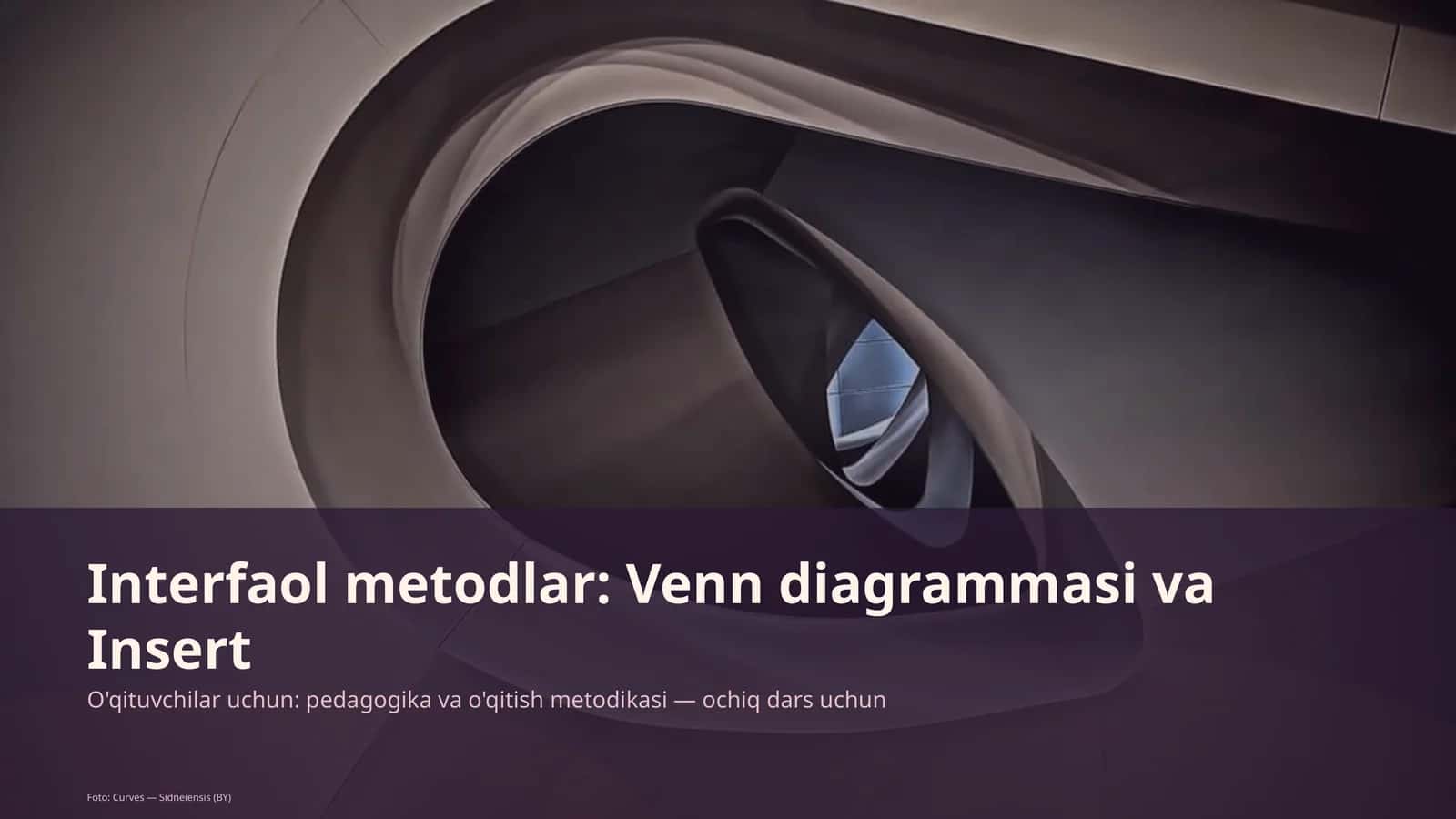 Interfaol metodlar: Venn diagrammasi va Insert