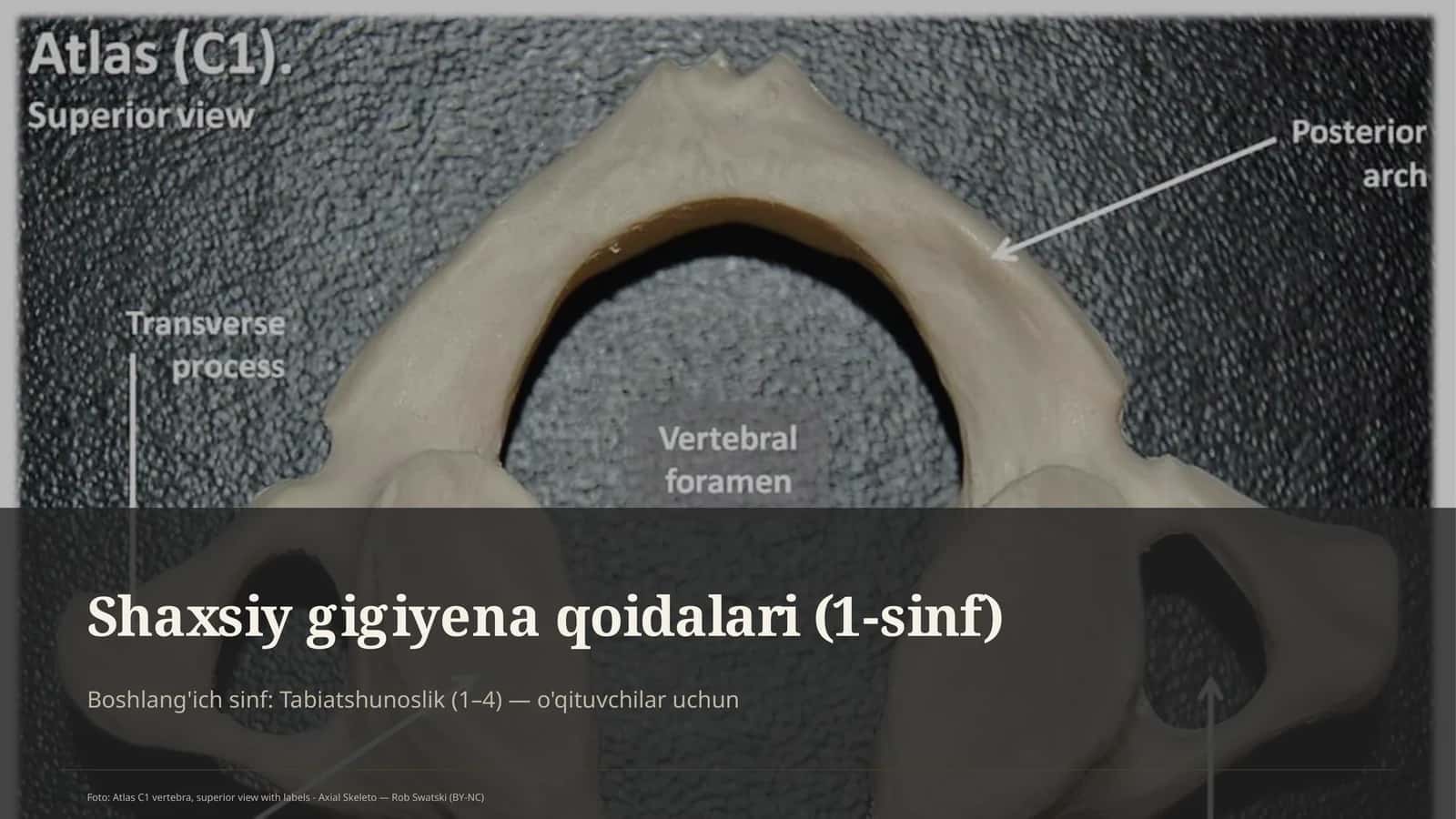 Shaxsiy gigiyena qoidalari (1-sinf)
