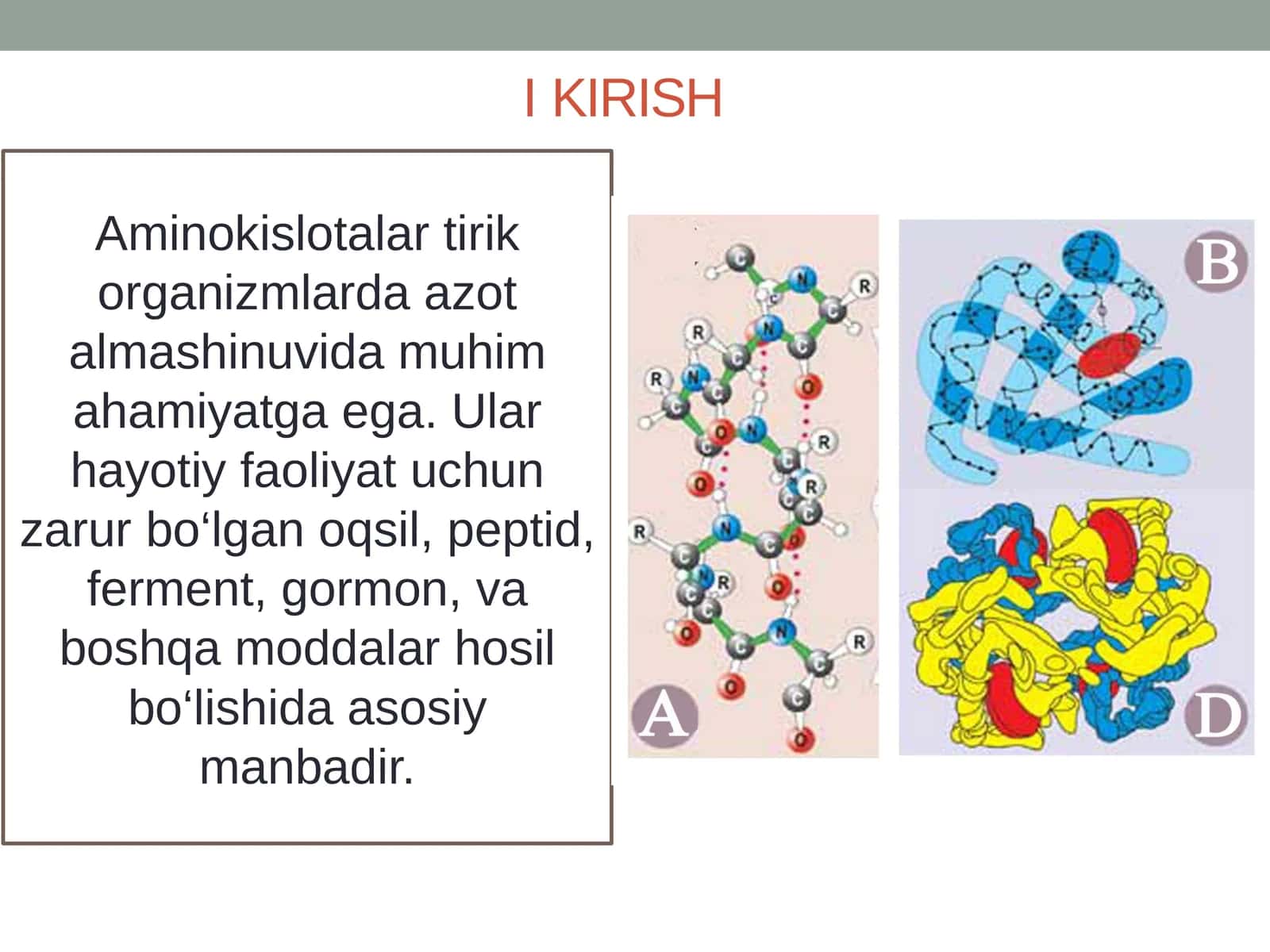 Aminokislotalar
