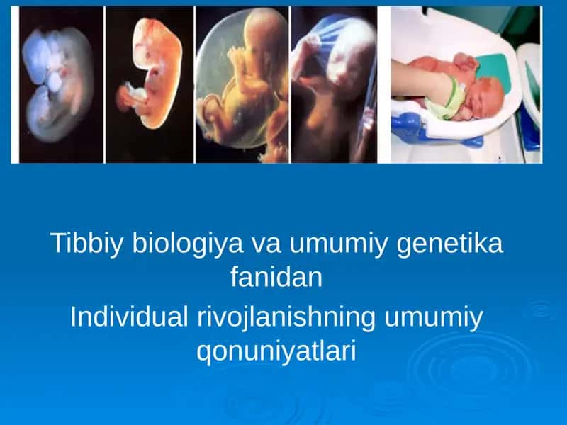 Individual rivojlanishning umumiy qonuniyatlari