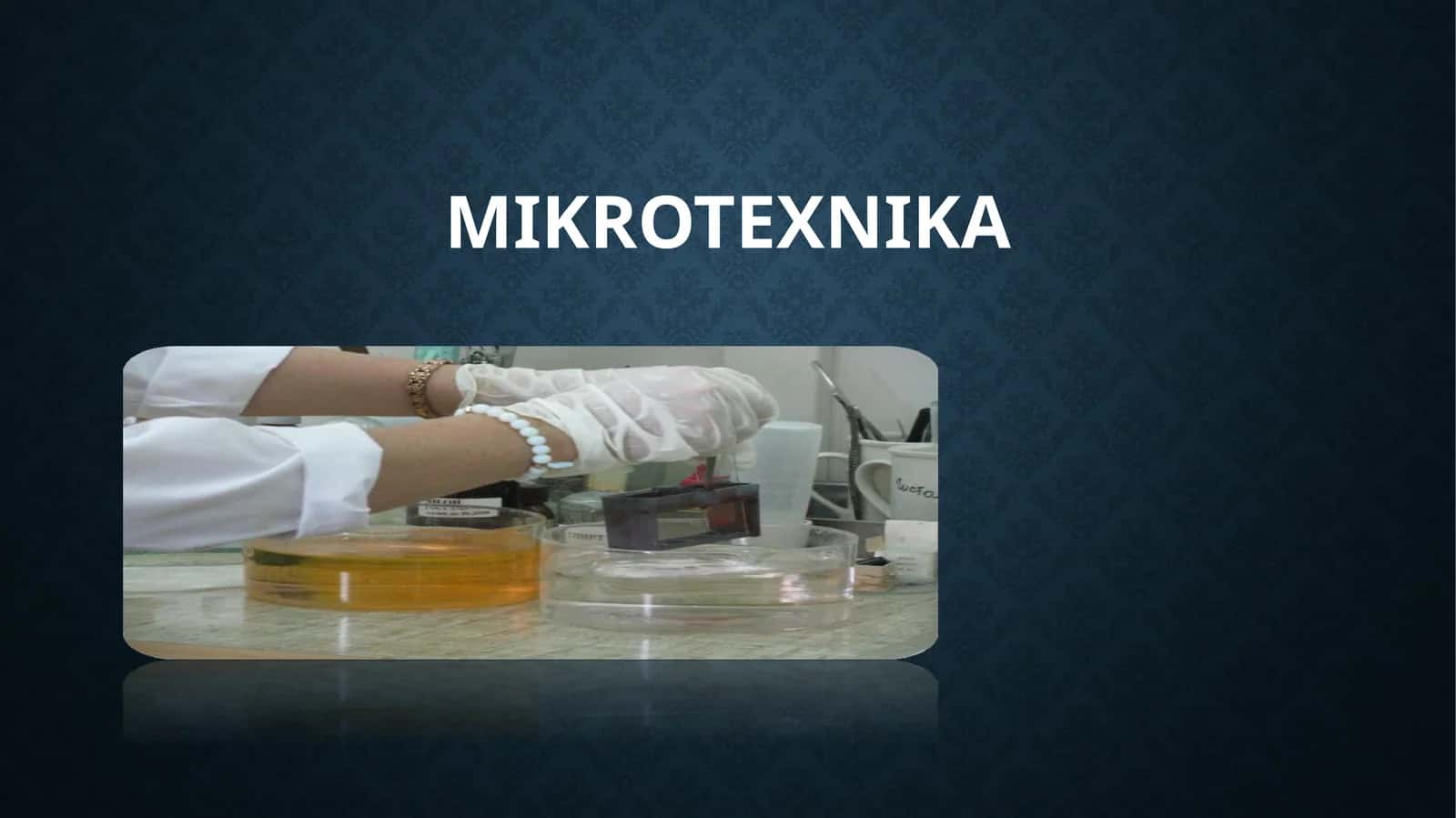 Mikrotexnika