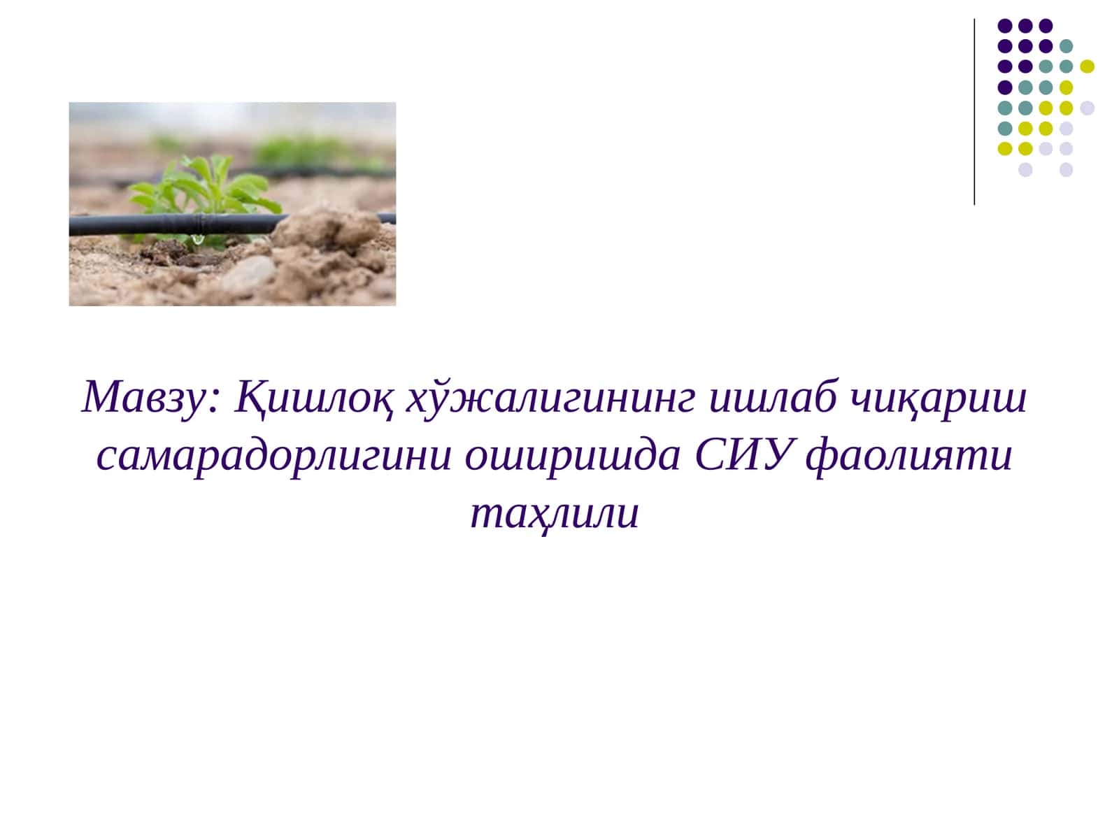 Қишлоқ хўжалигининг ишлаб чиқариш самарадорлигини оширишда СИУ фаолияти таҳлили