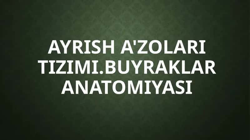 Ayrish a'zolari tizimi. Buyraklar anatomiyasi