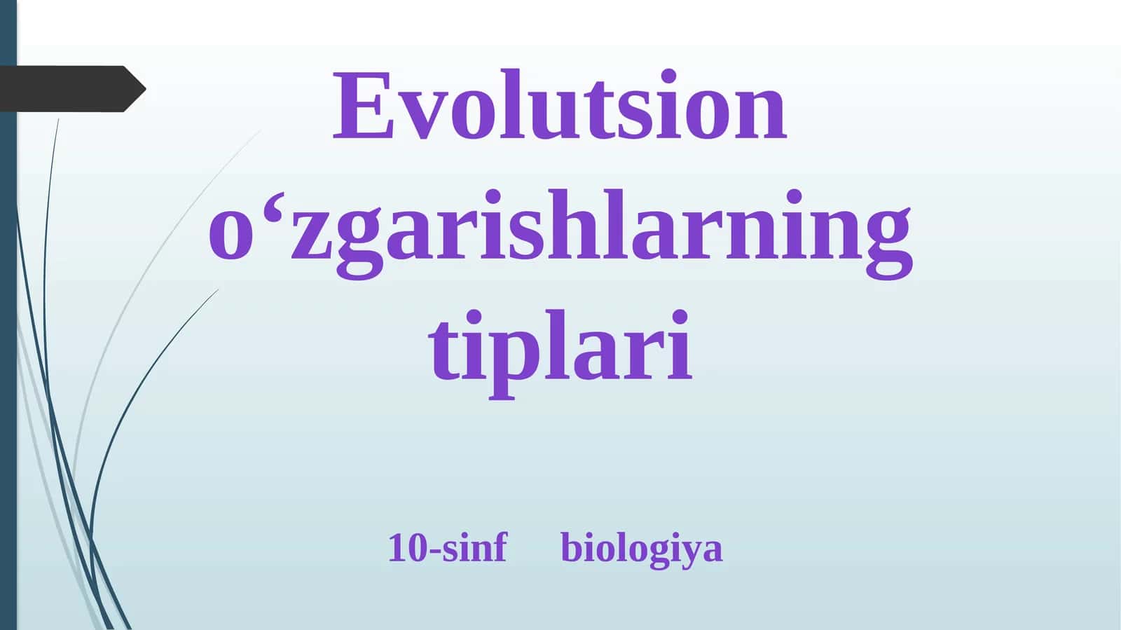 Evolutsion o‘zgarishlarning tiplari