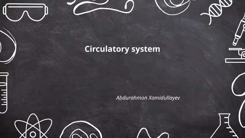 Circulatory system